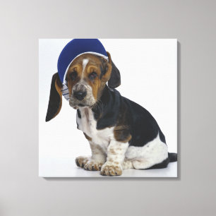 Impressão Em Tela Filhote de cachorro de Basset Hound com viseira