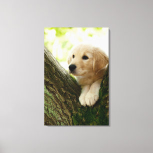 Impressão Em Tela Filhote de cachorro de Labrador que senta-se em um