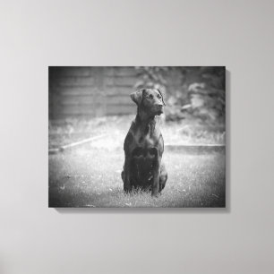 Impressão Em Tela Filhote de cachorro preto de labrador retriever