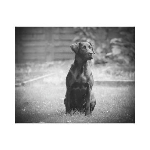 Impressão Em Tela Filhote de cachorro preto de labrador retriever