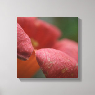 Impressão Em Tela Fim envolvido do canvus acima das flores