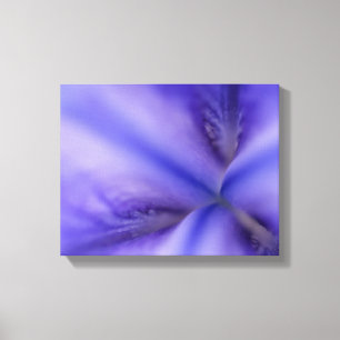 Impressão Em Tela Fim roxo da flor da íris acima