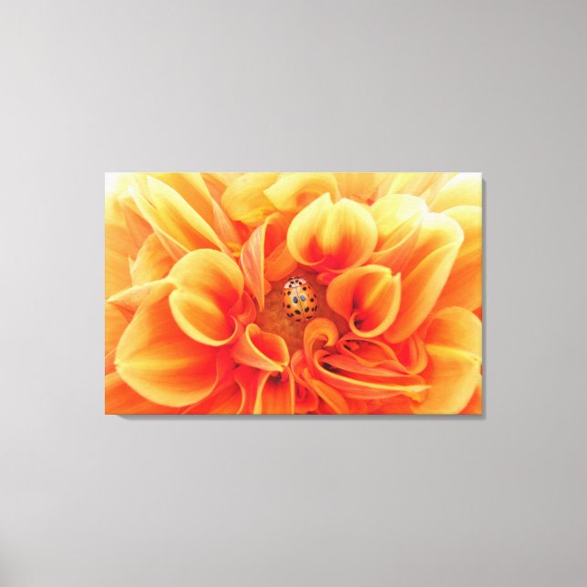 Impressão Em Tela Fire Orange Dahlia Flower com buca-dama (Frente)