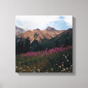 Impressão Em Tela Fireweed roxo Talkeetna Mtns. das margaridas