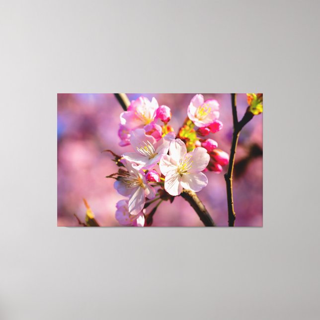 Impressão Em Tela Fl (Frente)