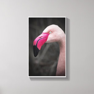 Impressão Em Tela Flamingo