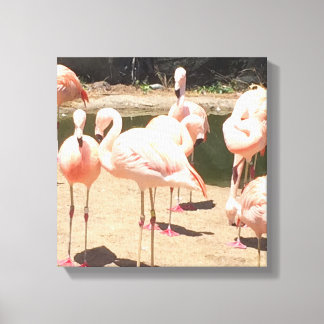 Impressão Em Tela Flamingos Rosa