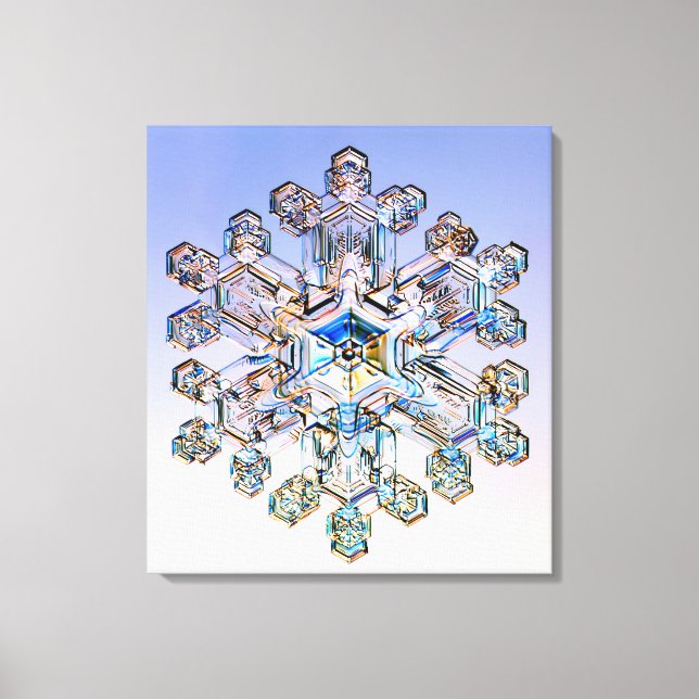 Impressão Em Tela Floco de neve (Frente)