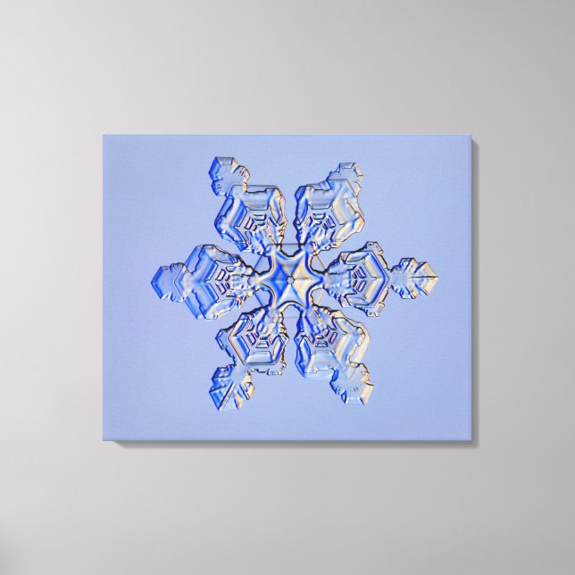 Impressão Em Tela Floco de neve 3 (Frente)