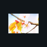 Impressão Em Tela Flor Charming Chic Sakura E Folhas Em Primavera<br><div class="desc">Um grupo encantador de flores sakura em um galho de árvore. Cor rosa suave, folhas laranja. Céu azul pálido. A beleza espantosa de Hanami - a estação da sakura assistindo. Uma pintura digital muito grande a partir de uma fotografia. Impressão floral esticada de tela para decorar seu lugar ou para...</div>