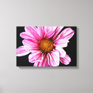 Impressão Em Tela Flor Chrysanthemum 16,50x11 (41,25x27,5cm) waccn