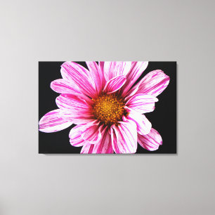 Impressão Em Tela Flor Chrysanthemum 36x24 (90x60cm) waccn