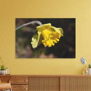 Impressão Em Tela Flor Daffodil Amarelo bonito 36,00" x 24,00"