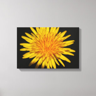 Impressão Em Tela Flor Dandelion 16,50x11 (41,25x27,5cm) waccn