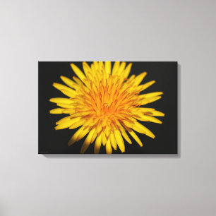 Impressão Em Tela Flor Dandelion 24x16 (60x40cm) waccn