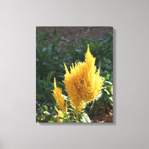 Impressão Em Tela Flor de Astilbe Amarelo