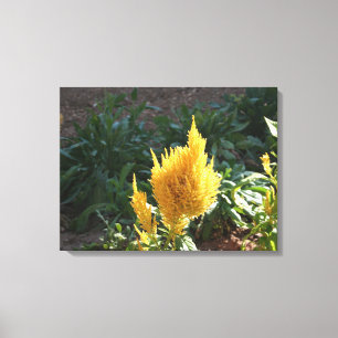 Impressão Em Tela Flor de Astilbe Amarelo