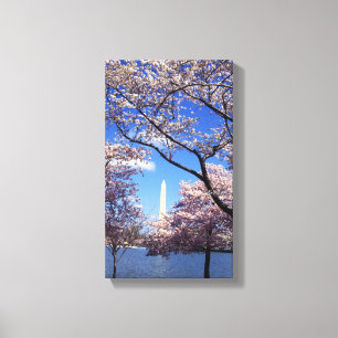 Impressão Em Tela Flor de cerejeira no Washington DC