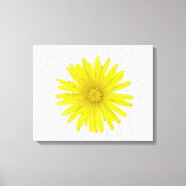 Impressão Em Tela Flor de dandelion (Taraxacum officinale), um compr (Frente)