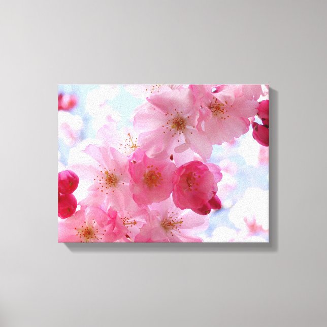 Impressão Em Tela Flor de floração primaveril rosa (Frente)