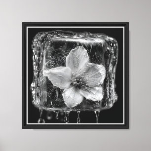 Impressão Em Tela Flor de Gelo Derretendo