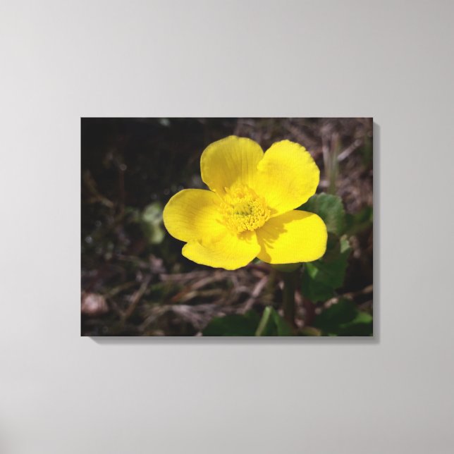 Impressão Em Tela Flor de jardim amarelo (Frente)