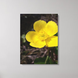 Impressão Em Tela Flor de jardim amarelo