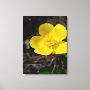 Impressão Em Tela Flor de jardim amarelo