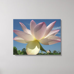 Impressão Em Tela Flor de Lotus e Céu Azul II