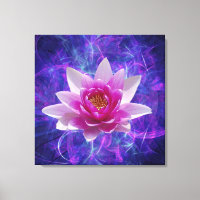 Flor de lótus rosa