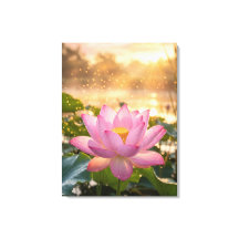 Flor de Lótus Rosa Serena Tela Parede Hora Dourada