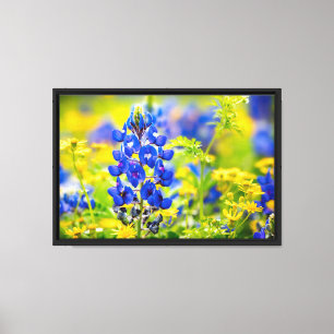 Impressão Em Tela Flor de Texas Bluebonnet com Amarelo