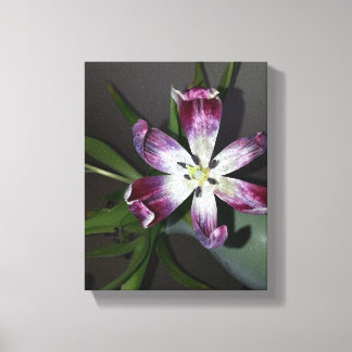 Impressão Em Tela Flor de Tulip