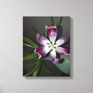 Impressão Em Tela Flor de Tulip