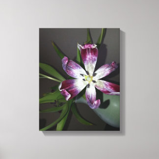 Impressão Em Tela Flor de Tulip