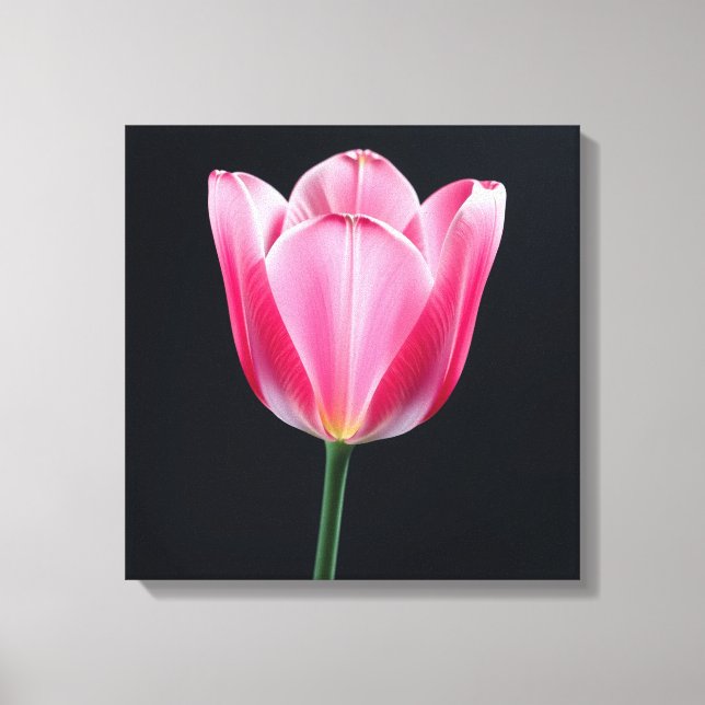 Impressão Em Tela Flor de Tulip (Frente)