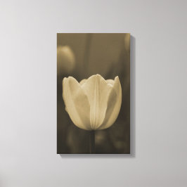 Impressão Em Tela Flor de tulipa de solteiro Sepia floresce perto