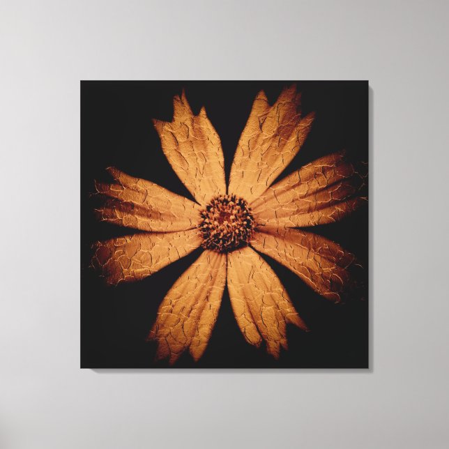 Impressão Em Tela Flor do Cosmos Dourado em Preto (Frente)