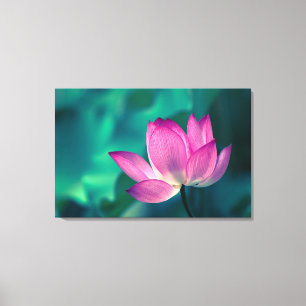 Impressão Em Tela Flor do lírio de água de Lotus