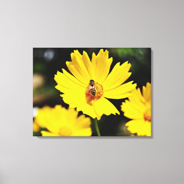 Impressão Em Tela Flor e Abelha de Cosmos Amarelos (Frente)