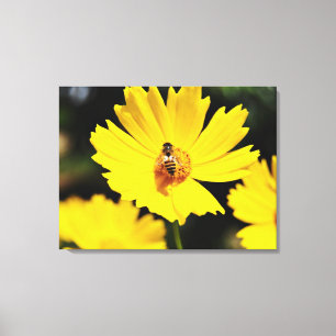 Impressão Em Tela Flor e Abelha de Cosmos Amarelos