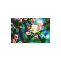 Flor e botões de maçarico