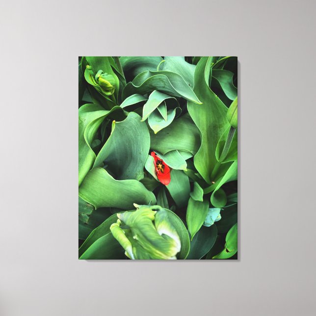 Impressão Em Tela Flor Imersa Em Verde (Frente)