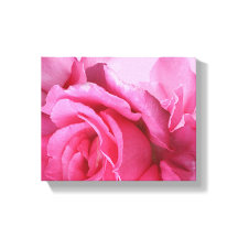 Flor linda rosa cor-de-rosa floral moderna elegant