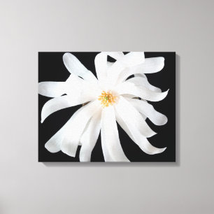 Impressão Em Tela Flor Magnolia em Preto