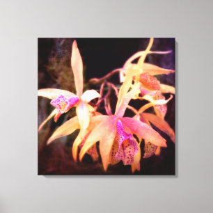 Impressão Em Tela Flor - Orquídea - Laelia - Paixão da Meia-Noite