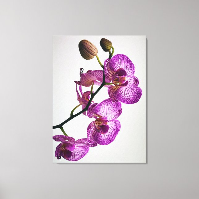 Impressão Em Tela Flor Orquídea Roxa (Frente)