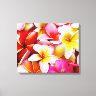 Impressão Em Tela Flor Plumeria Frangipani Hawaii Personalizado