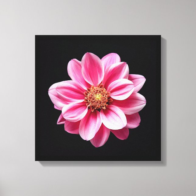 Impressão Em Tela Flor rosa (Frente)