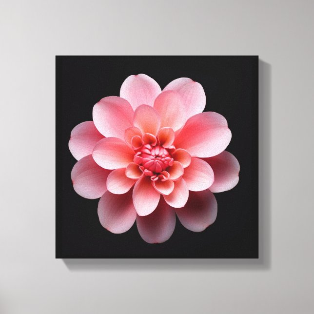 Impressão Em Tela Flor rosa (Frente)